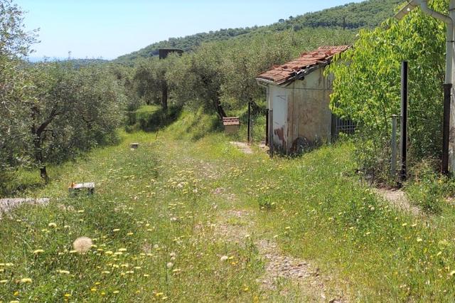 #13115 Ex polveriera per insediamento turistico ricettivo in vendita - foto 13