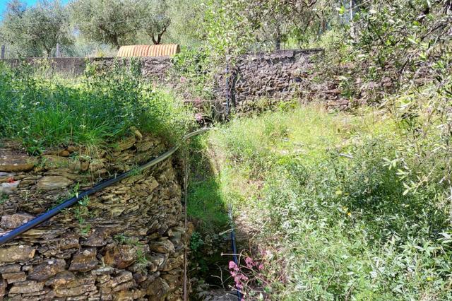 #13115 Ex polveriera per insediamento turistico ricettivo in vendita - foto 14