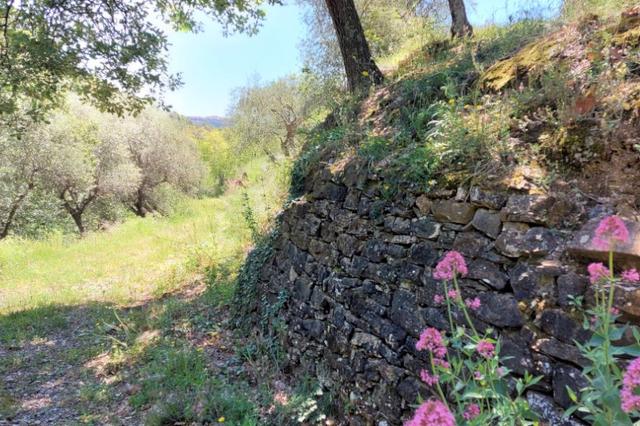 #13115 Ex polveriera per insediamento turistico ricettivo in vendita - foto 19