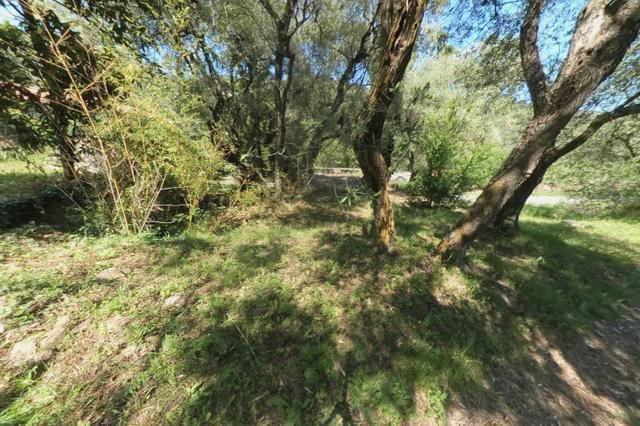 Agricoli in vendita