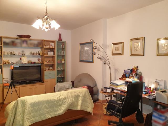 photogallery 1