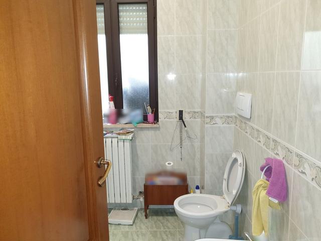 photogallery 5