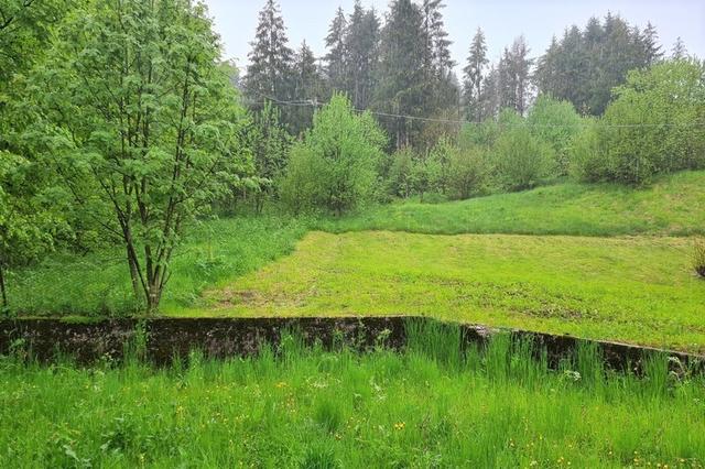 #13394 Terreno agricolo con percorsi di mobilità lenta in vendita - foto 3