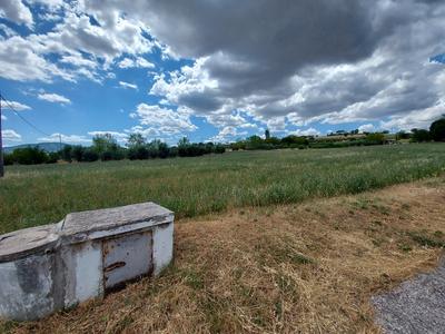 Agricoli in vendita