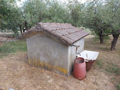Agricoli in vendita