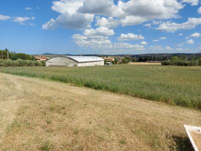 Agricoli in vendita