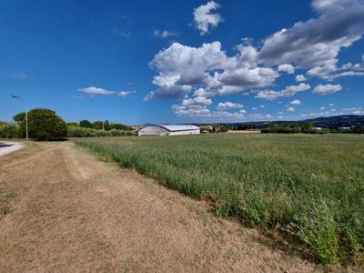 Agricoli in vendita