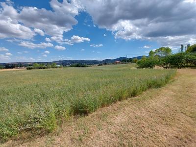 Agricoli in vendita