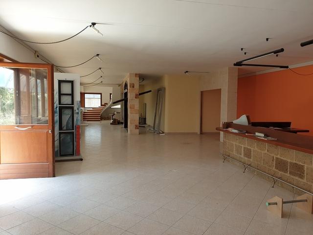 #13595 Opificio artigianale con annessa abitazione in vendita - foto 4