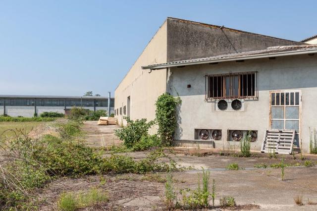 #13752 Capannone logistico con ampia area pertinenziale in vendita - foto 11