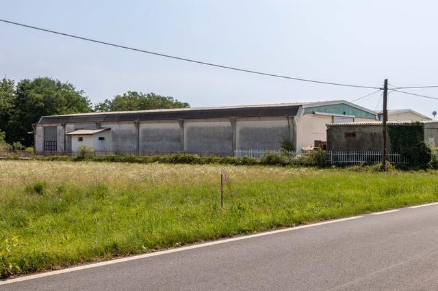 #13752 Capannone logistico con ampia area pertinenziale in vendita - foto 15