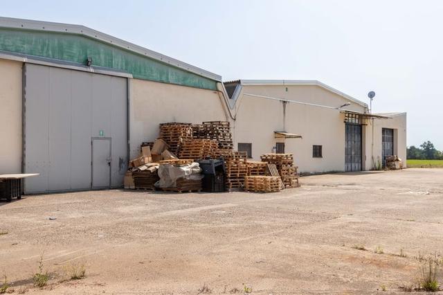 #13752 Capannone logistico con ampia area pertinenziale in vendita - foto 16