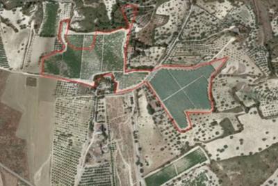 Agricoli in vendita