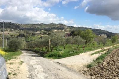 Agricoli in vendita
