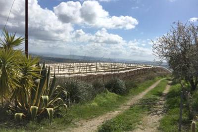 Agricoli in vendita