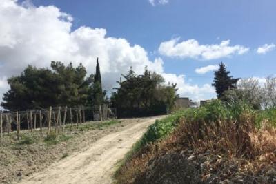 Agricoli in vendita