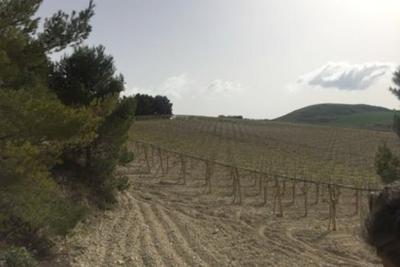 Agricoli in vendita