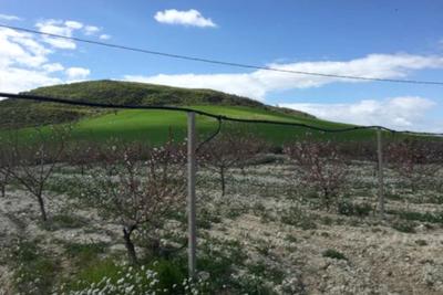 Agricoli in vendita
