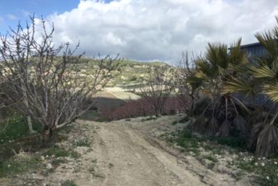 Agricoli in vendita