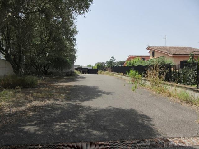 #14036 Magazzino con area di pertinenza in vendita - foto 7