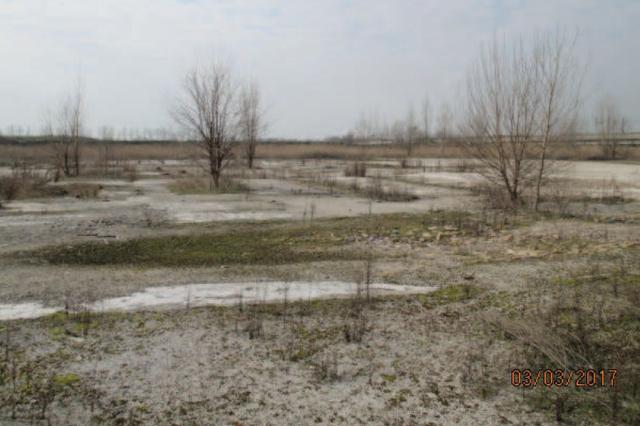#14065 Ex complesso industriale di 459.950 mq in vendita - foto 9