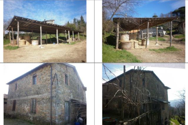 #14086 Complesso agricolo in vendita - foto 5