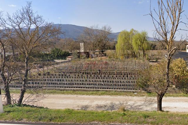 #14305 Terreno destinato a vivaio di 5.459 mq in vendita - foto 1