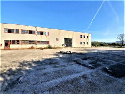 Fabbricati industriali in vendita