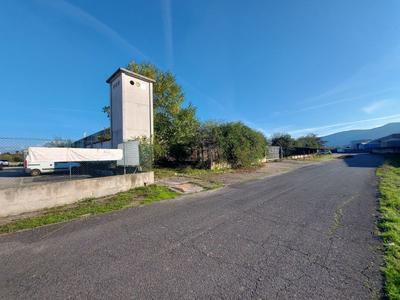 Fabbricati industriali in vendita