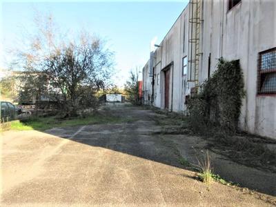 Fabbricati industriali in vendita