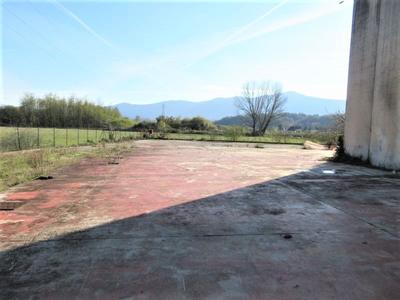 Fabbricati industriali in vendita