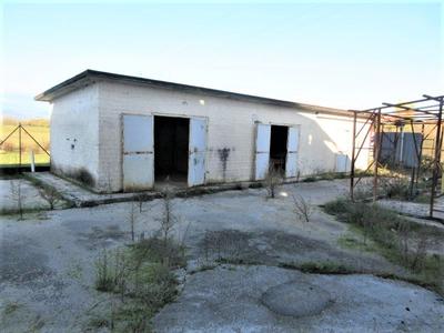 Fabbricati industriali in vendita