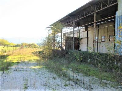 Fabbricati industriali in vendita