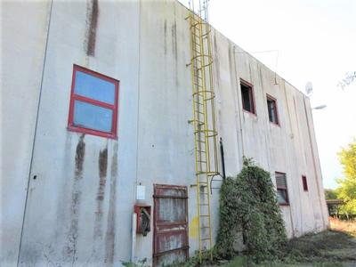Fabbricati industriali in vendita