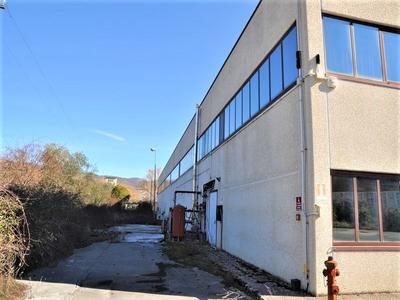 Fabbricati industriali in vendita