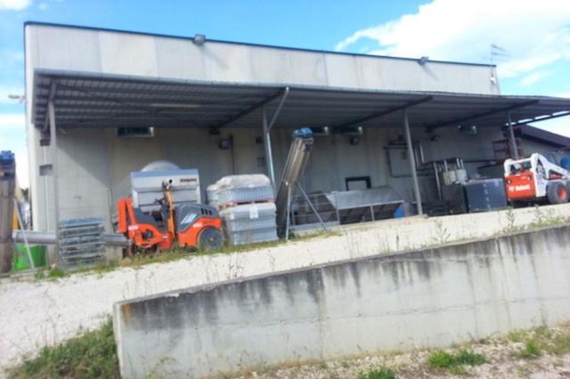 #14843 Capannone artigianale e area piantumata in vendita - foto 2