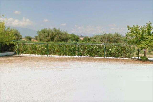 #14843 Capannone artigianale e area piantumata in vendita - foto 6