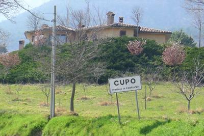 Indipendenti in vendita