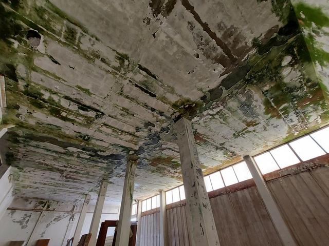 #15161 Palazzina artigianale in stato di abbandono in vendita - foto 12