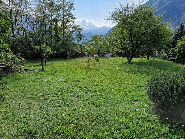 #15279 Terreno edificabile di 1726 mq in vendita - foto 7