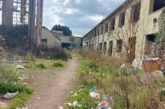 #15537 Ex complesso industriale di 33.750 mq in vendita - foto 7