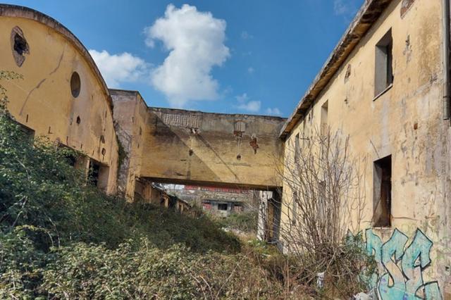 #15537 Ex complesso industriale di 33.750 mq in vendita - foto 13