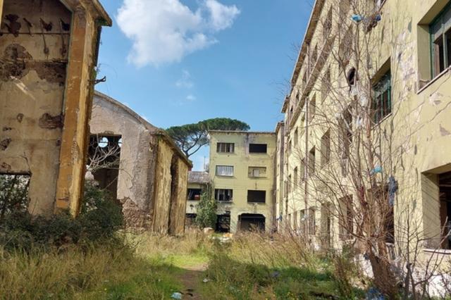 #15537 Ex complesso industriale di 33.750 mq in vendita - foto 18