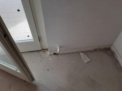 Appartamenti in vendita
