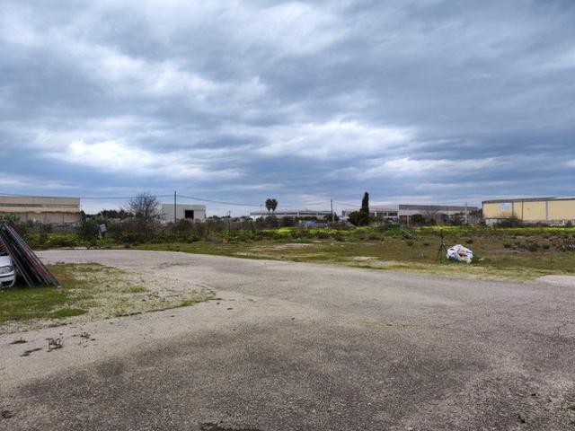#15781 Capannone industriale con piazzale in vendita - foto 13