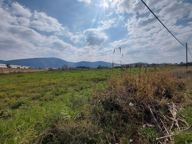 #15796 Terreno edificabile industriale di 15.355 mq in vendita - foto 3