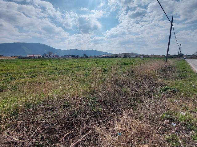 #15796 Terreno edificabile industriale di 15.355 mq in vendita - foto 4