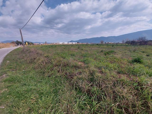 #15796 Terreno edificabile industriale di 15.355 mq in vendita - foto 5