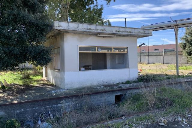 #15801 Opificio con terreno edificabile industriale in vendita - foto 19