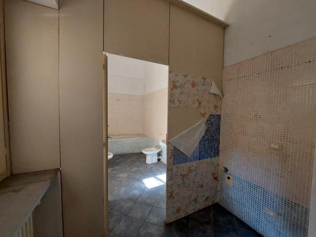 photogallery 6
